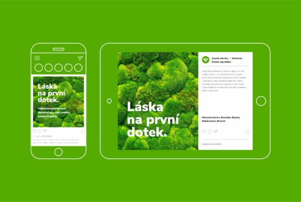 Svatební dekorace Kouzo mechu